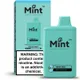 Fresh Mint